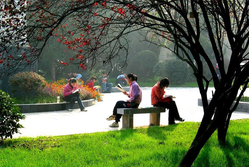 下载 (55).jpg